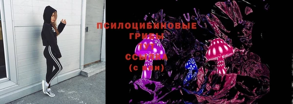 СК Володарск