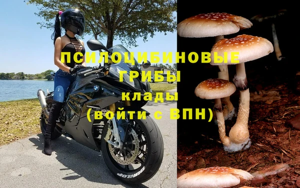 не бодяженный Волосово